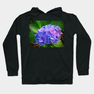 Bluish Purple Hydrangea Hoodie